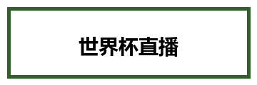 世界杯直播
